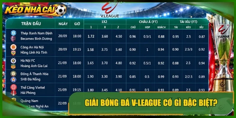 Giải bóng đá v-league có gì đặc biệt?