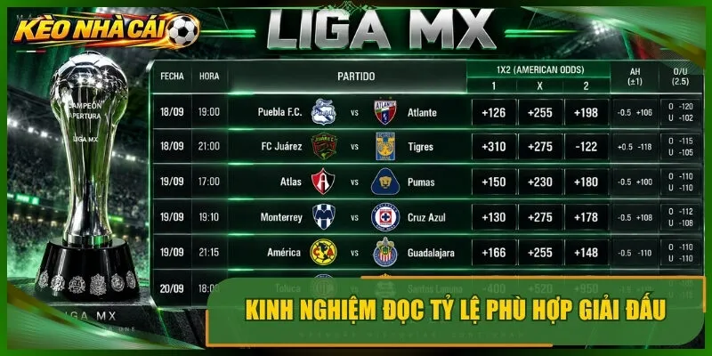 Kinh nghiệm đọc tỷ lệ phù hợp giải đấu